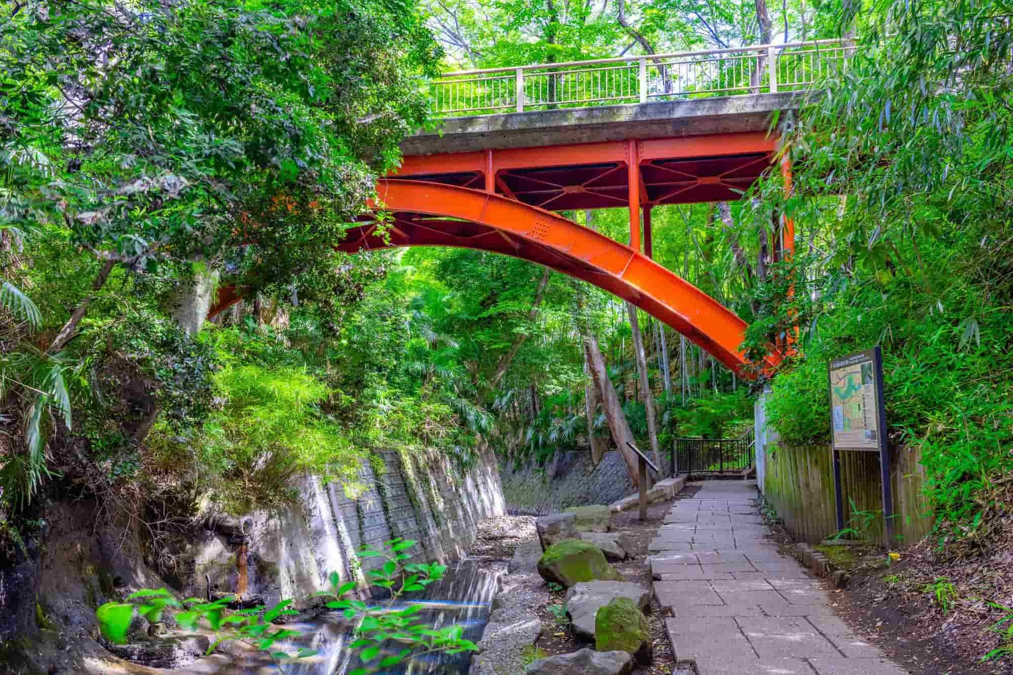 🏞️ 토도로키 계곡 이미지 5